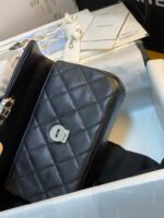 Chanel Classic Flap Bag 20cm Black - Image 4